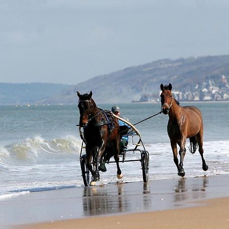 Le Nid De Plage A 100 M De La Mer Cabourg Buitenkant foto