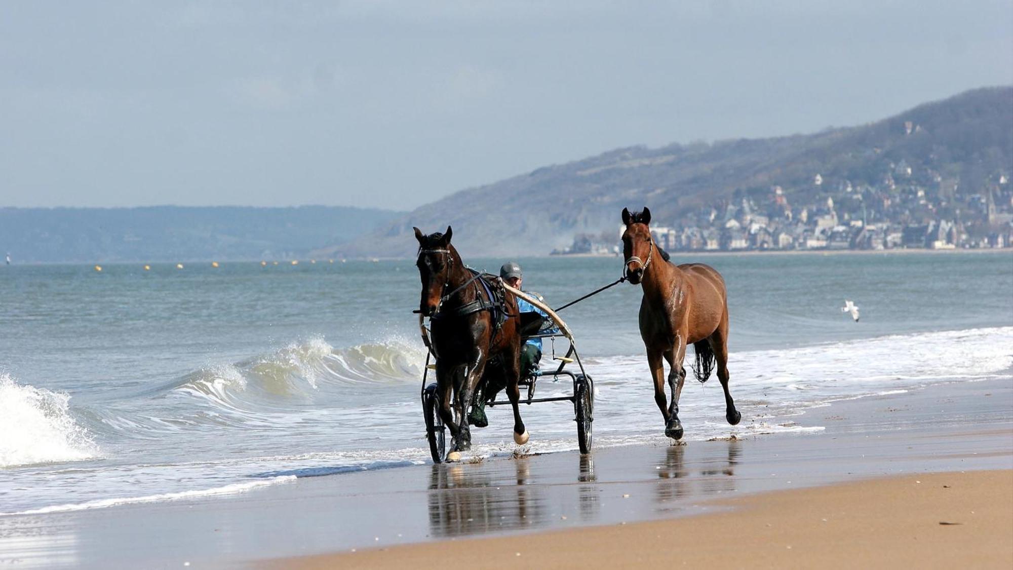 Le Nid De Plage A 100 M De La Mer Cabourg Buitenkant foto